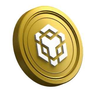 دليل المتداول المبتدئ يعرض عملة Binance BNB المشفرة